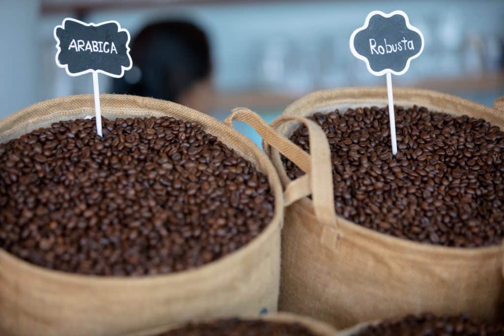 Caffe-Arabica-e-Robusta