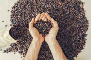 slow food coalition