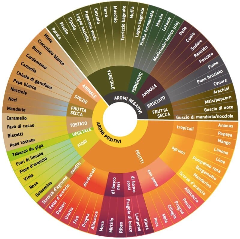 ruota degli aromi del caffè